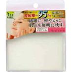 【メール便送料無料】BECLEAR コンパクトミラー YBC-500 [ヤマムラ]