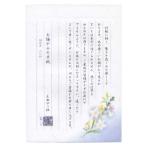伝えるきもちB5便箋 お悔やみ 5300208