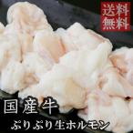 国産牛 ぷりぷり 生 ホルモン (360g×1) 国産 牛肉 ほるもん 焼き肉 焼肉 もつ鍋 もつ焼き BBQ コラーゲン もつ モツ 鍋 小腸 丸腸 マルチヨウ