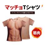 マッチョ Tシャツ おもしろtシャツ 筋肉tシャツ メンズ 女性 大きいサイズ 面白tシャツ ハロウィン パーティ イベント コスプレ 衣装 プレゼント