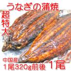 очень большой .... ..1 хвост 320g передний и задний (до и после) China производство . для бытового использования 