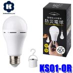 LED電球、LED蛍光灯