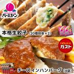 su...-. Family set ga -stroke cheese in hamburger 4 piece bar miyan freezing raw gyoza 2 sack (20 piece entering ×2 sack )