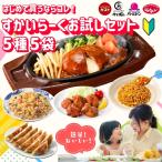 お中元 冷凍食品 惣菜 餃子 ハンバーグ/ガスト×から好し×バーミヤン×ジョナサン すかいらーくお試しセット5種5袋 / 炒飯 から揚げ ピラフ 中華惣菜 洋風惣菜