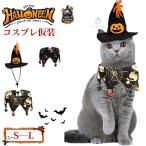  домашнее животное костюм собака одежда кошка одежда Halloween Рождество маскарадный костюм костюм домашнее животное одежда легкий симпатичный модный фотография фотосъемка "дышит" прогулка выход простой установка и снятие шляпа . прикрепленный 