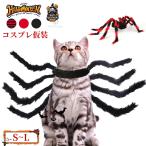 домашнее животное костюм собака одежда кошка одежда Halloween маскарадный костюм костюмы домашнее животное одежда симпатичный модный фотография фотосъемка party Event установка и снятие простой легкий ... одежда деятельность 