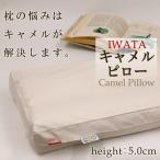 枕 イワタ キャメル枕 43×63cm 高さ5cm 高め 日本製 キャメルピロー 国産 ムレにくい 寝返り 洗える IWATA 岩田 キャメルまくら