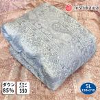 羽毛布団 西川 ダウン85% シングル 1.0kg 日本製 ダウンパワー350 抗菌 羽毛掛け布団 UM4256