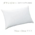 ショッピング西川 東京西川 ダウンピロー まくら ワイド 70cmx50cm ダウン85％ フェザー15％ 日本製 西川 ホテルまくら 枕 ダウン枕 羽毛まくら EH22159005 E2004