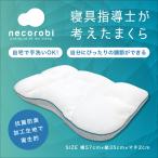 anan掲載商品 60周年記念まくら 寝具指導士が考えたまくら 高さ調節 抗菌防臭 ウォッシャブル 清潔 パイプ枕 ロマンス小杉 necorobi ネコロビ こり 枕 敬老の日