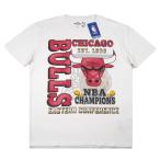 Hollister【NBA公式ライセンス★濃淡をつけた王道のデザイン】NBA CHICAGO BULLS 半袖 Tシャツ【アイボリー 白系】新品 ホリスター メンズ シカゴブルズ