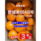 ショッピング甘平 愛媛果試48号（紅プリンセスと同品種）3キロ 訳あり・ご家庭用 2S〜Mサイズ（ミニサイズ）「紅マドンナ」×「甘平」の新品種です！