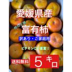  Ehime префектура производство . иметь хурма 5 kilo 2L~4L размер есть перевод *. для бытового использования царапина 
