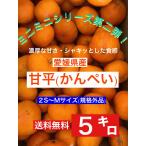 愛媛県産 甘平（ミニミニサイズ）5キロ 訳あり・ご家庭用・規格外品