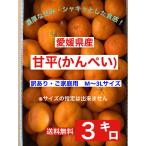 ショッピング甘平 愛媛県産 甘平（かんぺい）3キロ 訳あり・ご家庭用