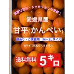ショッピング甘平 2/16〜順次発送いたします！！愛媛県産  甘平5キロ （訳あり・ご家庭用）M〜2Lサイズ