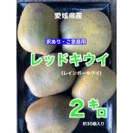 Ehime префектура производство красный киви ( Rainbow красный )2 kilo примерно 30 шт передний и задний (до и после) 