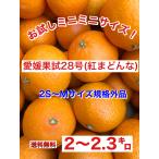 お試しにいかがでしょうか♪ミニミニサイズ