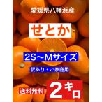 ショッピングせとか 愛媛県産せとか2〜2.2キロ（訳あり・ご家庭用）2S〜M