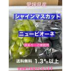  Ehime префектура производство автомобиль in мускат * новый pio-ne1.3 kilo и больше есть перевод *. для бытового использования бесплатная доставка обычная температура рейс .. доставка. 