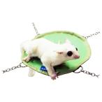 ma... фрукты гамак : киви /teg- Momo nga гамак 