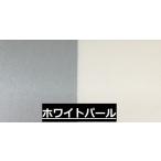 皮革用塗料  油性レザータッチ　パール (全6色)   65ml