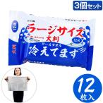 大判クールタオル ラージサイズ冷えてます(40×30)12枚入り 3個セット