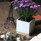 植木鉢 おしゃれ セメントプランター スクエア Lサイズ 四角 受け皿付き 鉢 プランター 多肉植物 観葉植物 花 ガーデニング