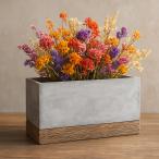 プランター 植木鉢 おしゃれ セメントプランター Lサイズ 多肉植物 観葉植物