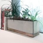 プランター 植木鉢 おしゃれ セメントプランター ロング 多肉植物 観葉植物
