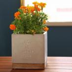 植木鉢 おしゃれ FEEL THE GARDEN セメントプランター スクエア Lサイズ 受け皿付き プランター 多肉植物 観葉植物