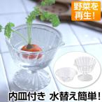 花瓶 ガラス鉢 おしゃれ フラワーベース 鉢 ガラスポット 水栽培 花びん 再生野菜 家庭菜園 観葉植物 花 インテリア 雑貨