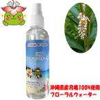 �����A���}�E�H�[�^�[100ml�@����Y�V�}�����g�p�@���������@�}�X�N�̏��L�ɂ�