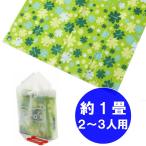 レジャーシート クッションマット クローバー 1畳 2〜3人用 手提げ袋・シートピン付き (アウトドア/遠足/行楽)