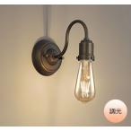 ֥饱åȥ饤 饤  LED եŵ ȥꥢ ȷ ޤʤ ŵ忧  LEDŵ 30W Ĵ 﫸̣