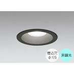 ダウンライト 125φ埋込穴 LED内蔵 100W相当 昼白色 爽やかな白色の光 調光不可 軒下取付専用 屋外 防雨型