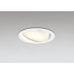 �_�E�����C�g 100�Ӗ����� �I�[�f���b�N ODELIC LED �Ɩ���� �I�t�z���C�g �d���F2700K 100W���� ���j�o�[�T�� ���ω� �����v�����\ OD361555LDR