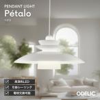 ペンダントライト照明器具 LED ダイニング照明  天井 吊り下げ モダン 電球色 昼白色 LED電球 100W相当 金属 ガラス