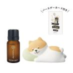  aroma подарок комплект .. чай to Lee Blend день рождения карта есть 