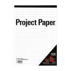 okina диаграммная бумага Project бумага B5 10mm person глаз .100 листов PPB50S