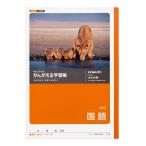 kyoktou* Associe i есть .ktou..... учеба . государственный язык 17 line B5 L12 10 шт. 
