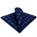 S&amp;W SHLAX&amp;WING мужской цветок . для pocket square голубой темно-синий peiz Lee 