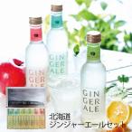 お中元 ギフト （産地直送/送料無料）NORTH FARM STOCK 北海道ジンジャーエールセット (-3924-601-)