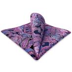 SHLAX&amp;WINGpeiz Lee узор синий розовый шелк pocket square мужской 