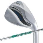  Kasco Dolphin Wedge DW-123 N.S.PRO 950GH neo WEDGE 46