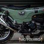  Honda Dux 125 ST125 для рама чехол для автомобиля зеленый / MotolordD Frame Body Cover Green For HONDA DAX ST125 JB04