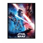 スターウォーズ STAR WARS / スカイウ�