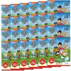 ノルコーポレーション 入浴剤 バスボール パウ・パトロール 24個セット マスコット入り ソーダの香り 60g PAW-1-01