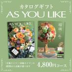 カタログギフト アズユーライク4,800円コース