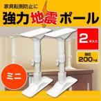 強力地震ポール ミニ /2本入 SEQ-27